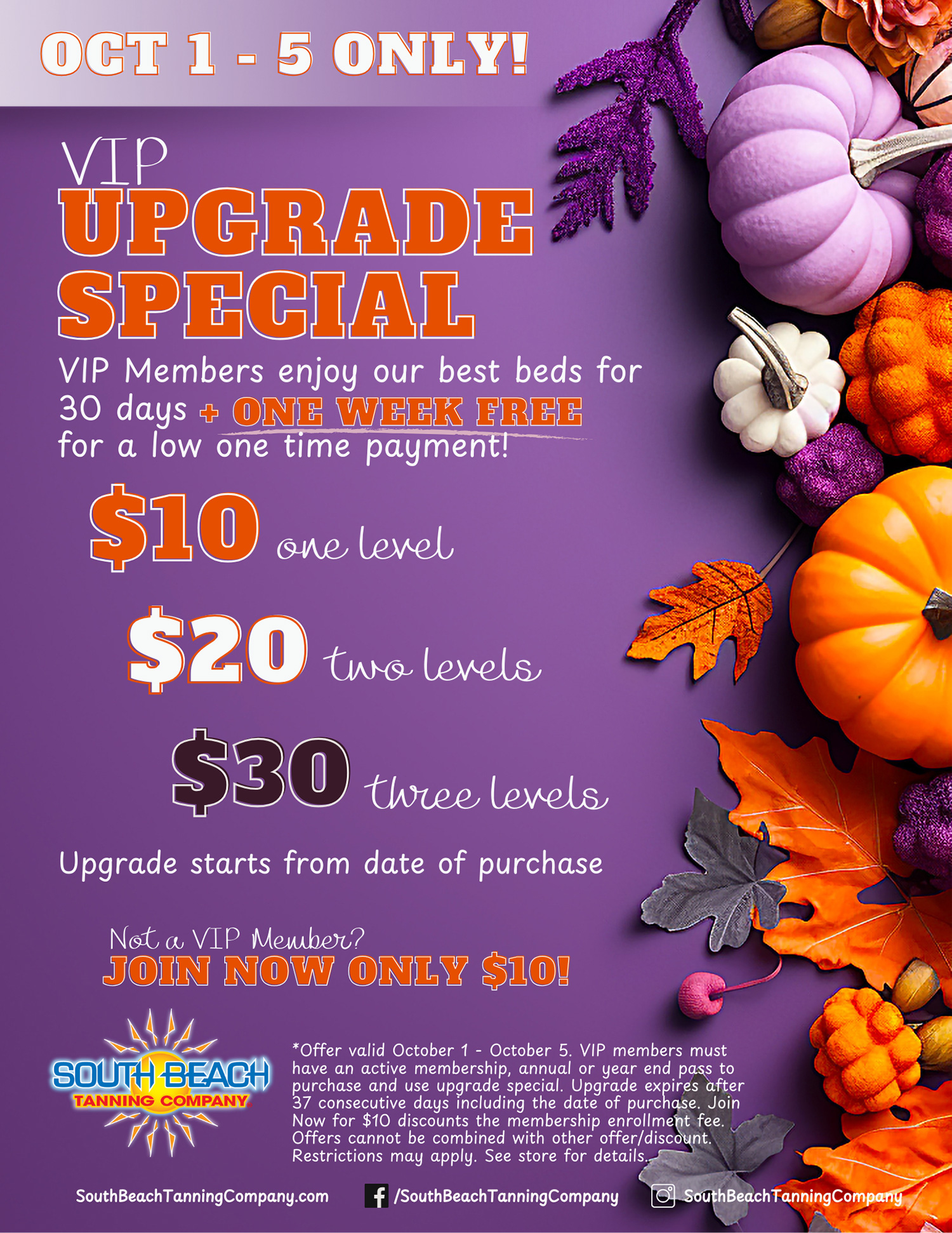 Oct 1-5 Only! Not a VIP Member? VIP Upgrade Special, VIP Members enjoy our best beds for 30 days + One Week Free for a low one time payment!